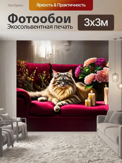 Фотообои **кот британский длинношерстный