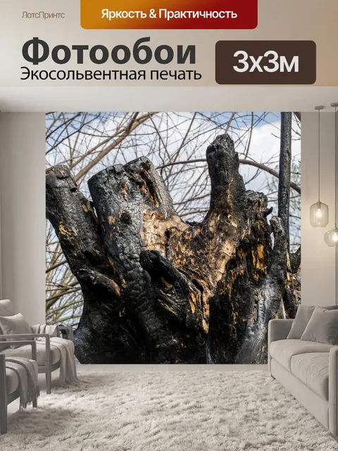 Фотообои Огонь