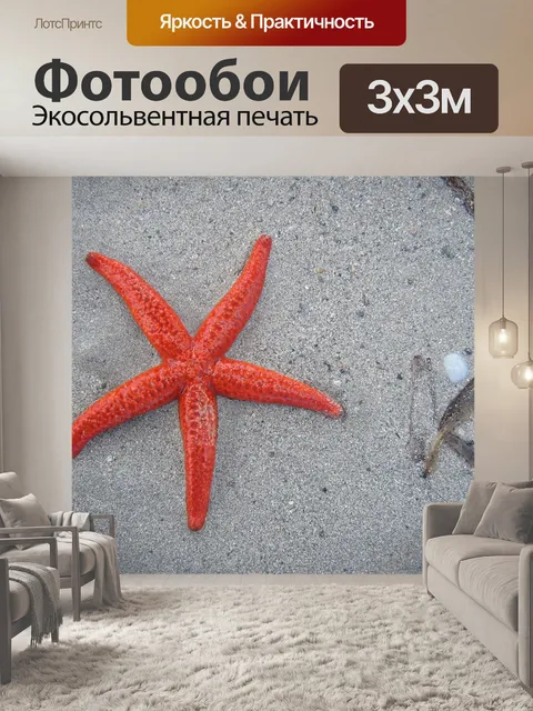 Фотообои Морская звезда