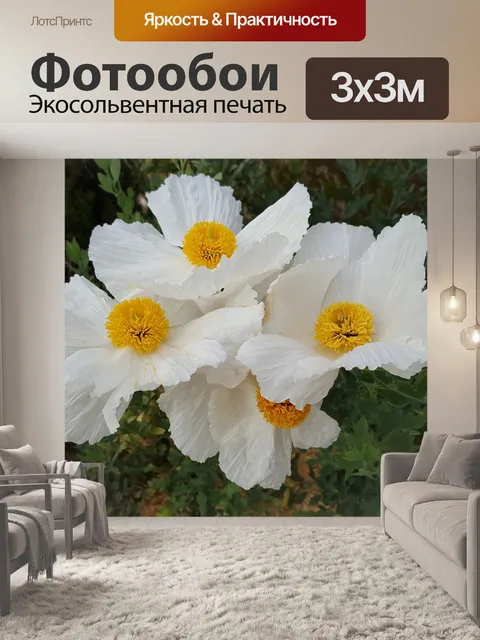 Фотообои Матилия маки