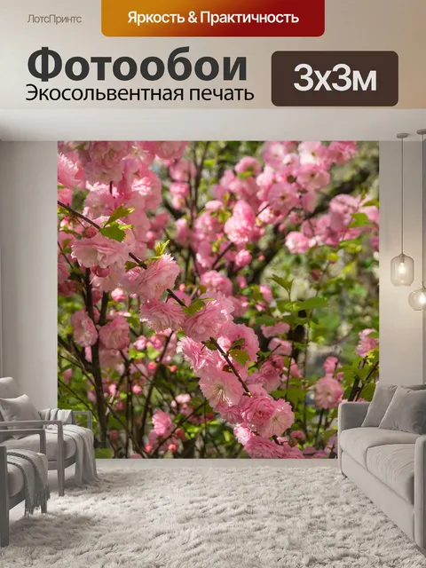 Фотообои Сакура
