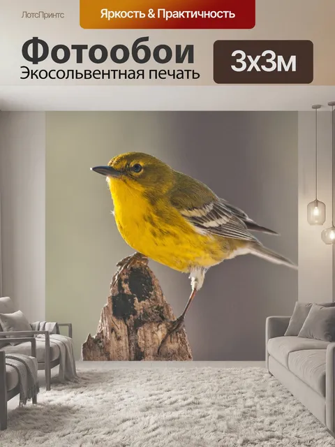 Фотообои Камышевка
