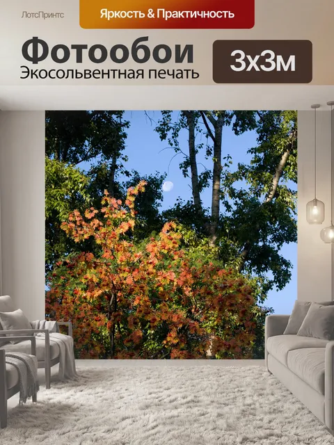 Фотообои Деревья