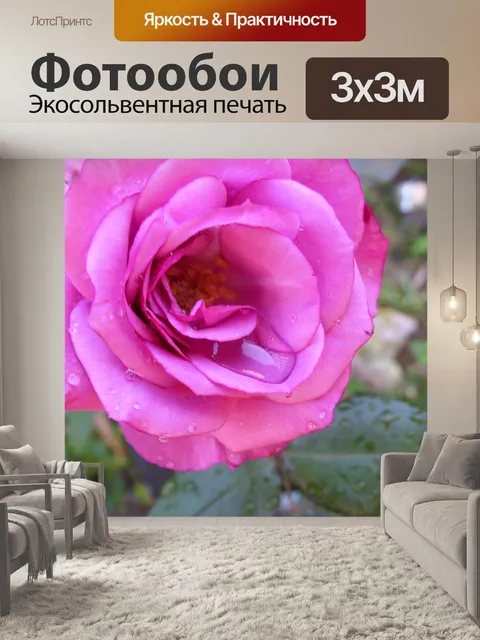 Фотообои Роза
