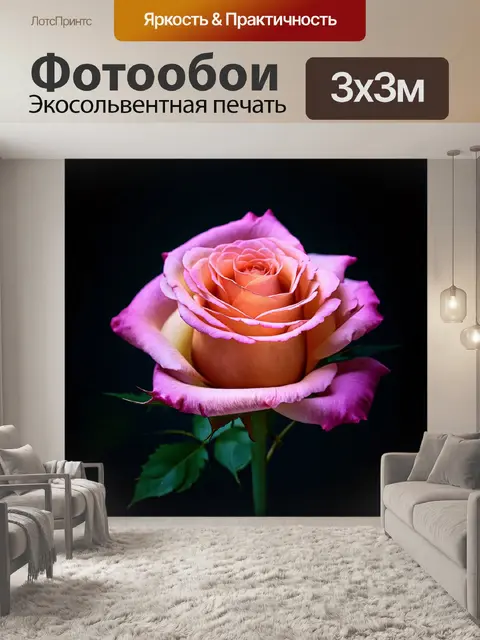Фотообои розы в стиле абстракции, пастельные акценты на темном фоне, создающие эффект вечернего освещения