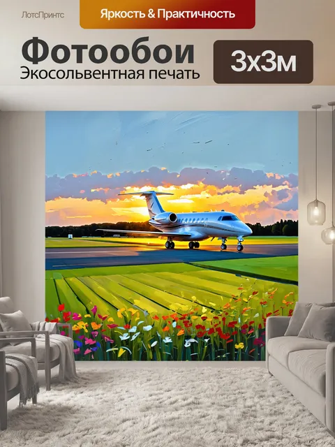 Фотообои вечерний пейзаж с частным самолетом