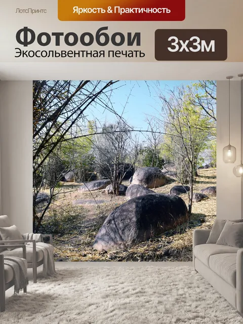 Фотообои Бамбуковый лес 6