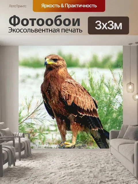 Фотообои Замечательный