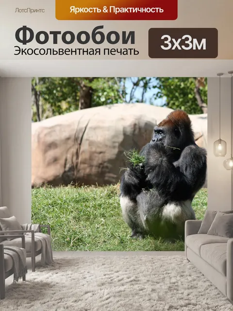 Фотообои Silverback Горилла, травяная трава
