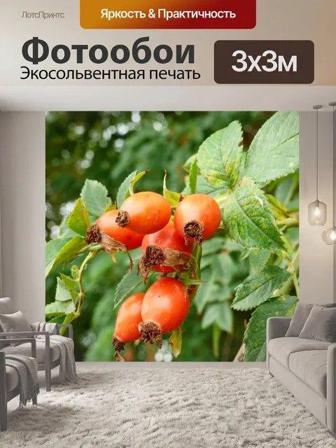 Фотообои Спящая красавица