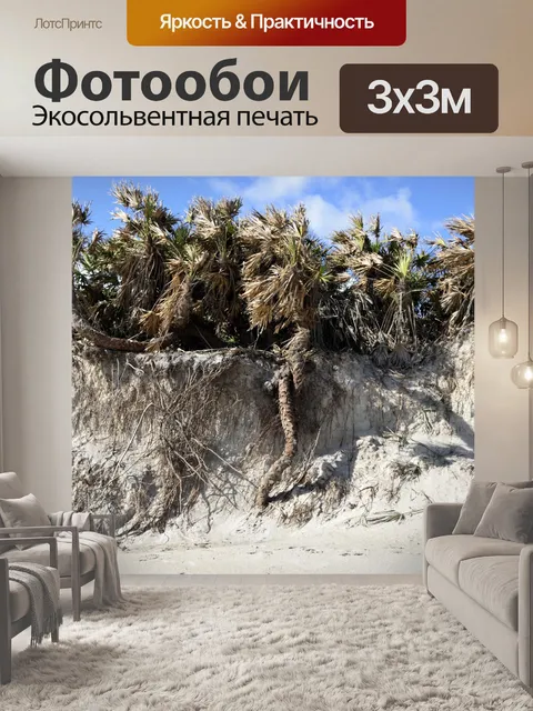 Фотообои Пляж Эрозия