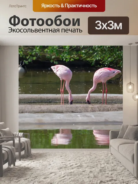 Фотообои Фламинго