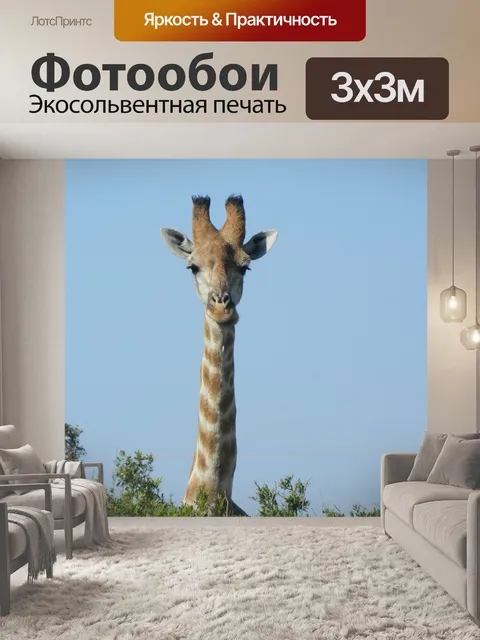 Фотообои Жирафа