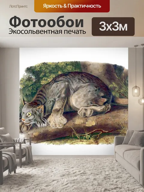 Фотообои Большая кошка кошка старинное искусство