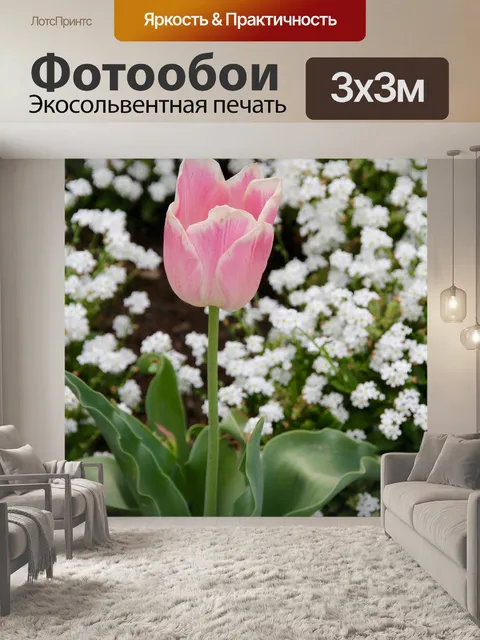 Фотообои Тюльпан