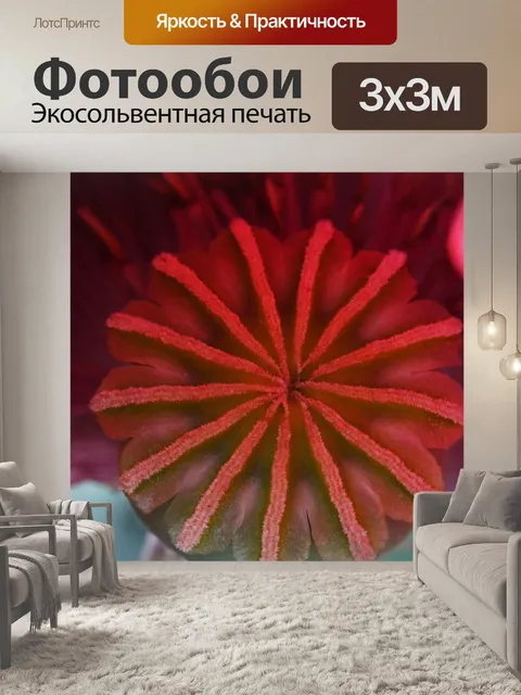 Фотообои стручок зеленого семени внутри красного