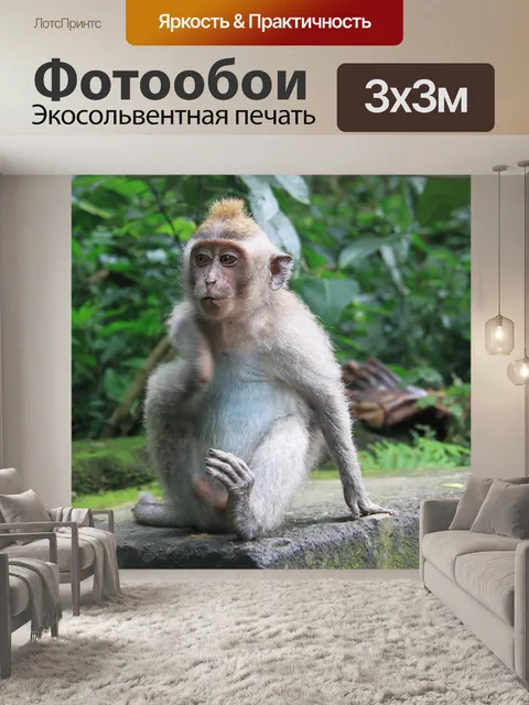 Фотообои Природа