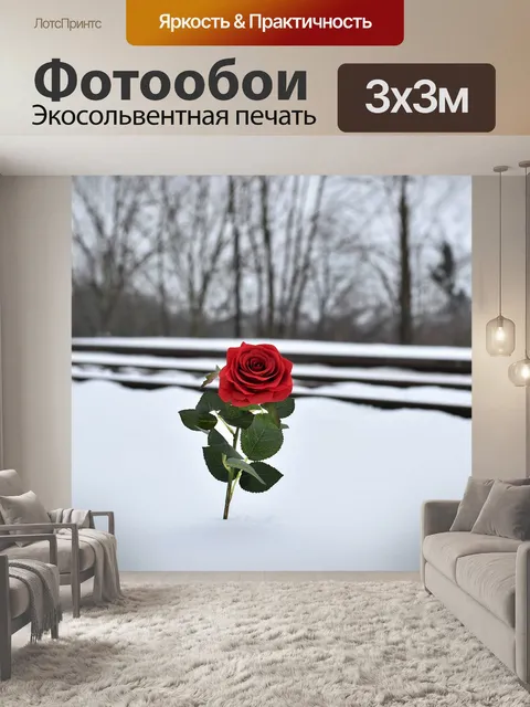 Фотообои Красная роза в снегу
