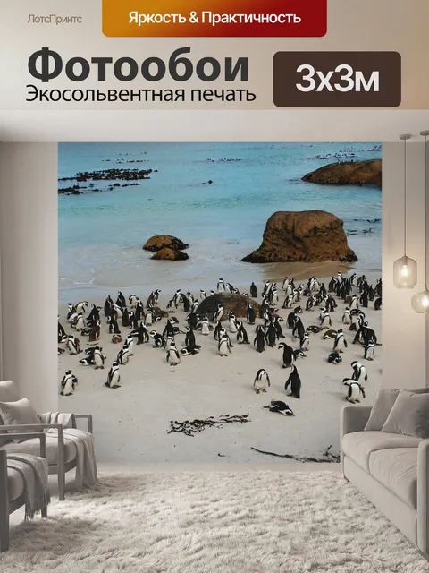 Фотообои Южной африке