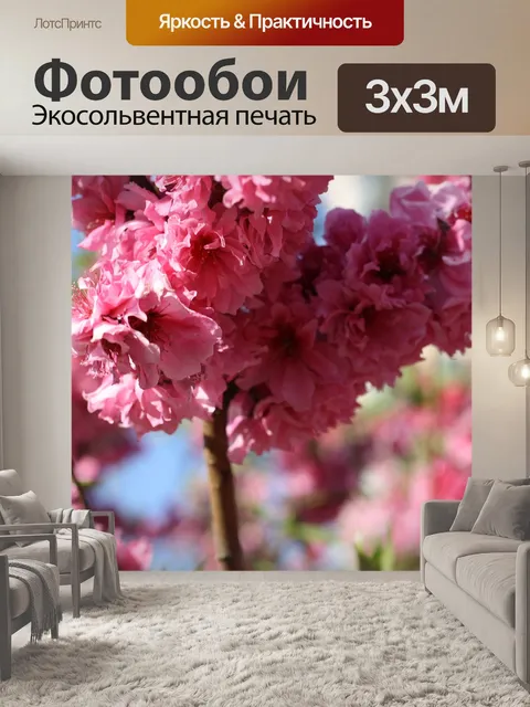 Фотообои Цветы