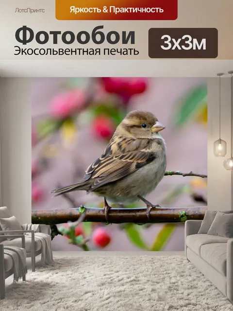 Фотообои Воробей