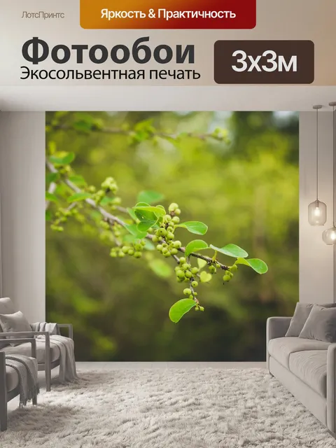 Фотообои Зеленые листья