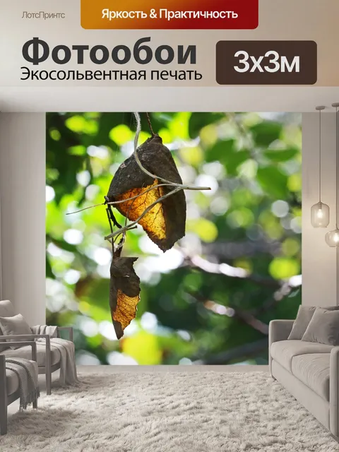 Фотообои сухие листья, свисающие с шелковой нити