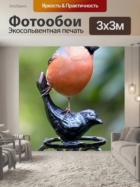Фотообои Снегирь