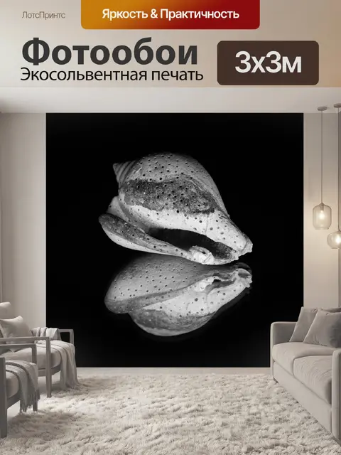 Фотообои отражение, зеркало, предмет