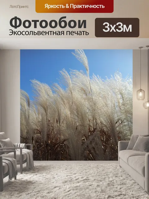 Фотообои Плотина тэчхон