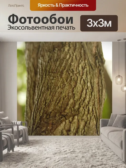 Фотообои Дерево
