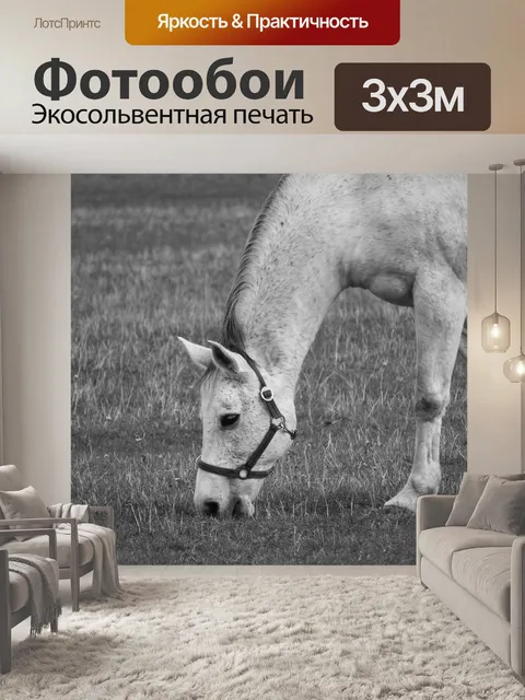 Фотообои Выпас лошадей