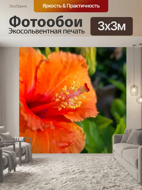Фотообои Оранжевый цветок гибискуса