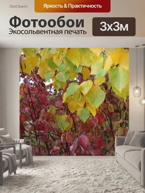 Фотообои Красочные осенние листья