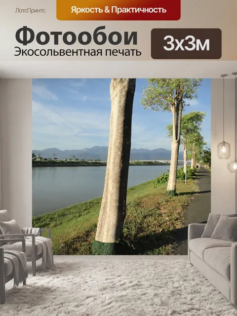 Фотообои Дорога