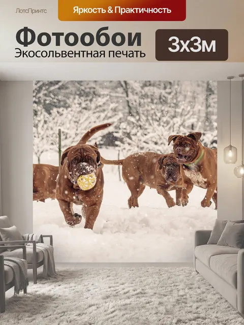 Фотообои Собаки