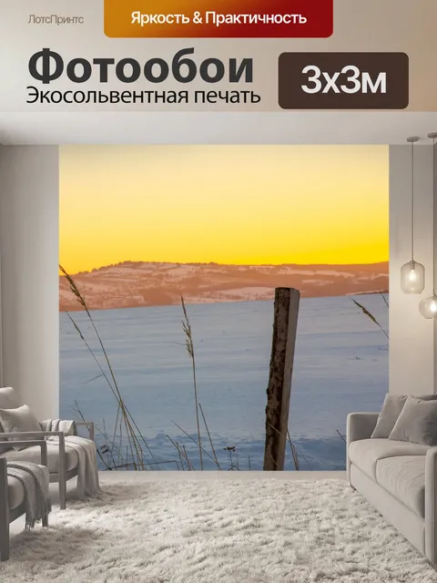 Фотообои Поле зимой на закате