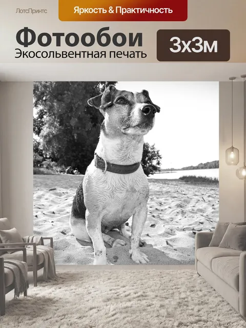 Фотообои Собака