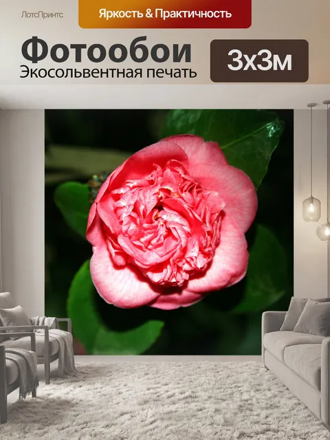 Фотообои японская цветение
