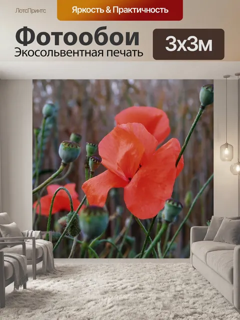 Фотообои Мак