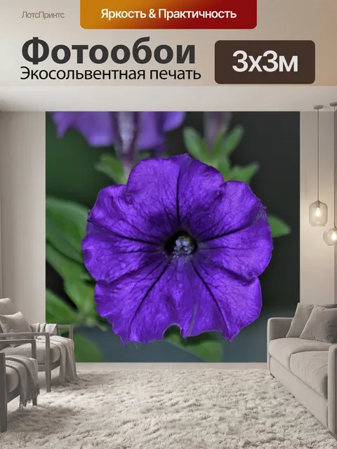 Фотообои Фиолетовый цветок петунии крупным планом