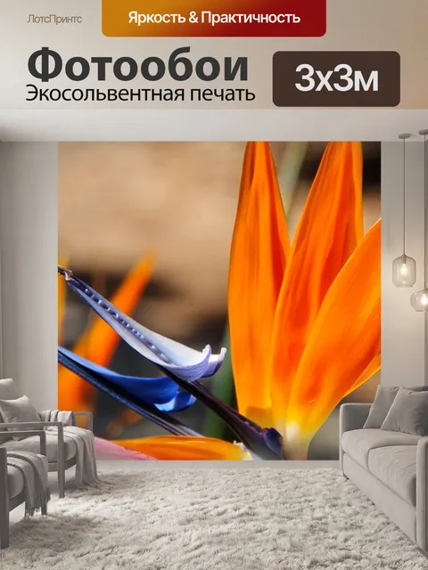 Фотообои Стрелиция цветок крупным планом