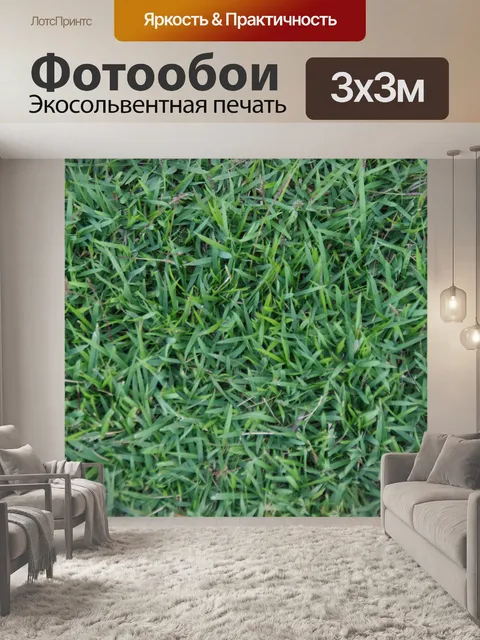 Фотообои Вырезать зеленую траву текстурированный