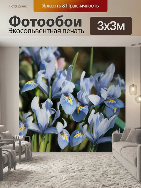 Фотообои Ирис синий