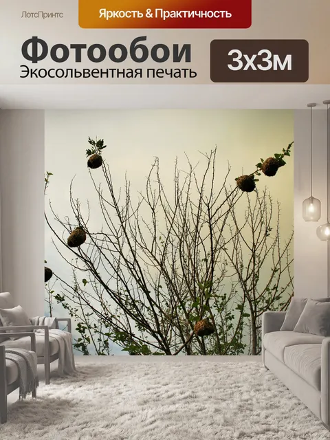 Фотообои Гнезда Уивер на дереве