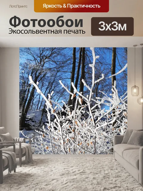 Фотообои Мороз