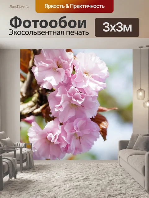 Фотообои Расцветает