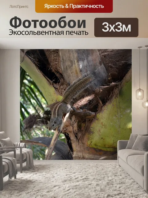 Фотообои Тропический