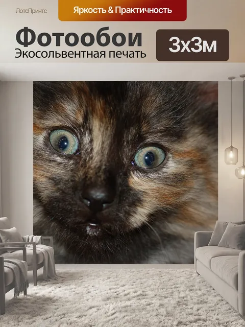 Фотообои Кошачий