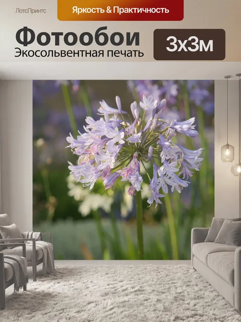 Фотообои Цветок, декоративный лук